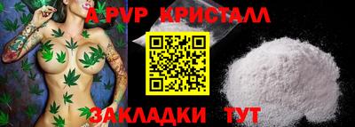 Альфа ПВП Малгобек