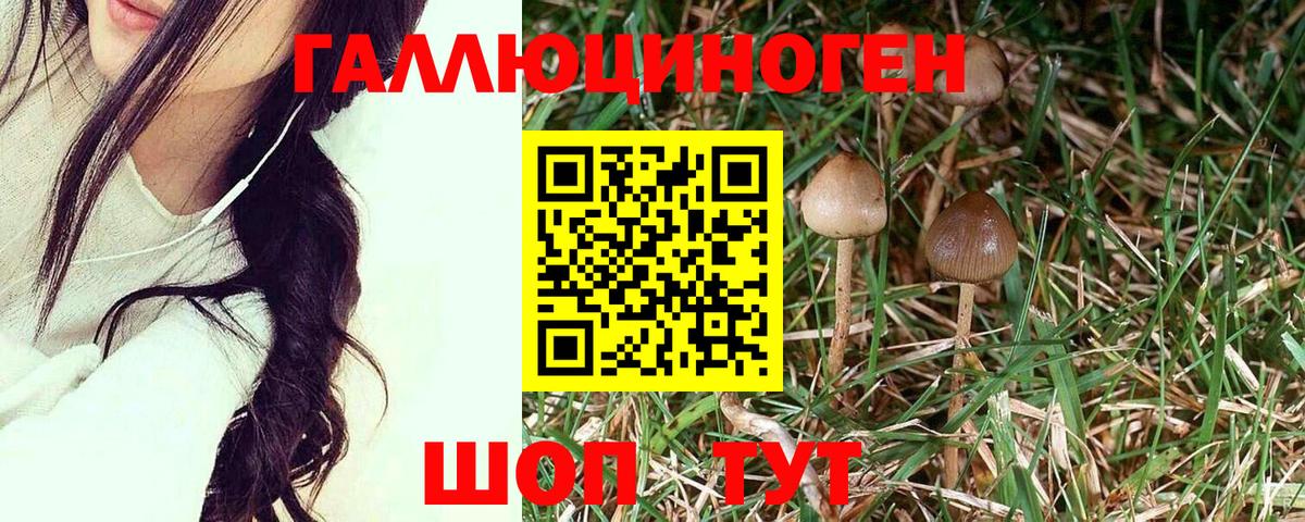 Псилоцибиновые грибы Magic Shrooms Шатура