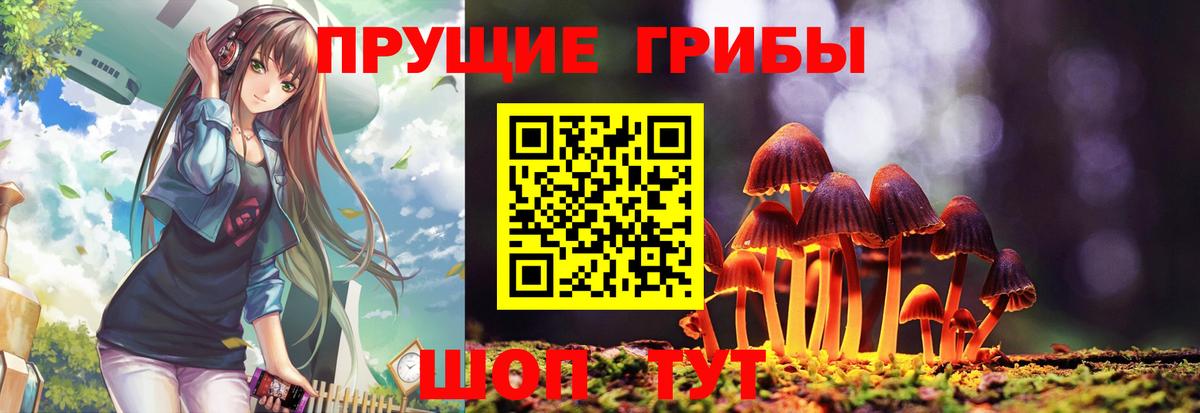 Псилоцибиновые грибы GOLDEN TEACHER  Псилоцибиновые грибы Psilocybine cubensis  Шатура  Вход с VPN 